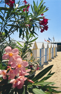 Spiaggia Sabbiadoro Cabine.jpg