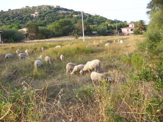 Porto Istana-.jpg