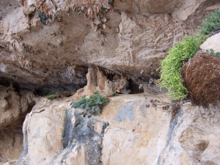 Grotta di Nettuno-před vstupem do jeskyně.jpg