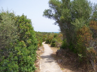 Porto Istana-cesta k moři.jpg