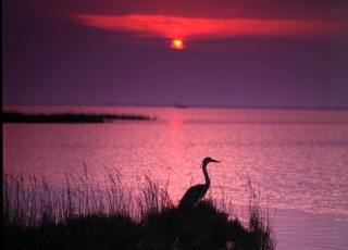 Laguna-náladová.jpg